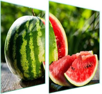 OEM Placa Protectora De Vidrio Para Estufa 70x52 Sand&iacute;a