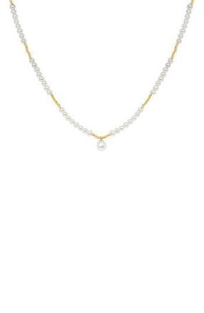 Effy 14K Gold 4mm Freshwater Pearl Necklace in White at Nordstrom Rack