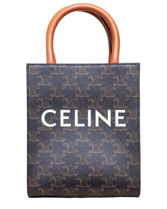 Celine Celine Multicolor Leather Mini Vertical Cabas Tote (Authentic Pre-Loved)