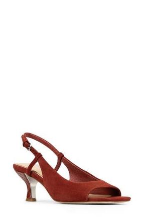 Donald J Pliner Grinn Peep Toe Slingback Sandal in Redwood at Nordstrom Rack, Size 7.5