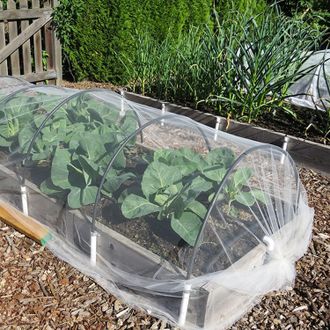OEM Malla Ultrafina Para Jard&iacute;n - 2,5 X 10 M - Malla Para Proteger Verduras, Frutas, Plantas, Flores Y Cultivos - Cubierta Protectora De Malla Para Patios