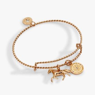 Alex and Ani Horse Rope Textured Charm Bangle Bracelet in Gold at Nordstrom