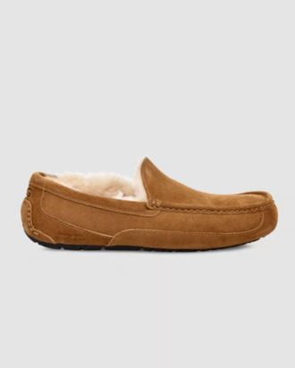UGG Mens Ascot Slipper In Chestnut