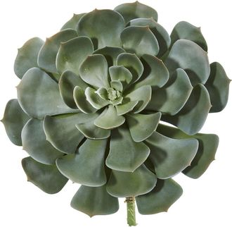 Nearly Natural 13-in Giant Echeveria Succulent Pick Artificial Plant in Green at Nordstrom