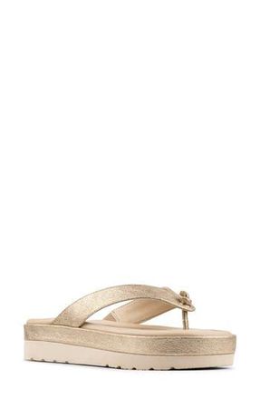 Donald J Pliner Thong Sandal in Platino at Nordstrom Rack, Size 7.5