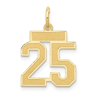 Diamond2Deal 14k Yellow Gold Small Satin Number Charm Pendant