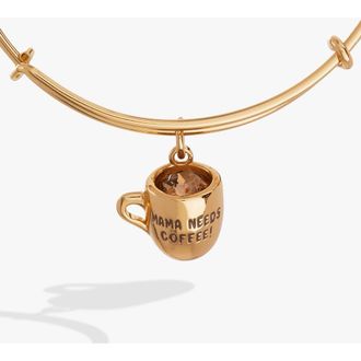 Alex and Ani Margarita Charm Bangle in Silver at Nordstrom