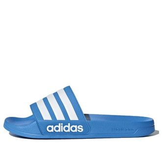 adidas Adilette Shower Bright Blue B42211
