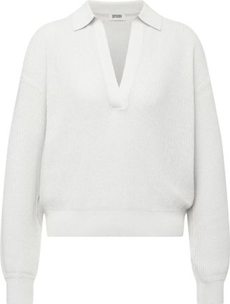 Drykorn Jorgia Knit Polo Shirt - Heren - V-hals truien - Beige - M - Katoen - Truien & Vesten