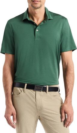 Robert Graham Canto Knit Polo in Trekking Green at Nordstrom Rack, Size X-Large