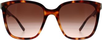 Bulgari Square Havana Brown Gradient BV8245