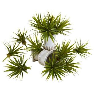 Nearly Natural Mini Spiky Agave Succulent Plant in Green at Nordstrom