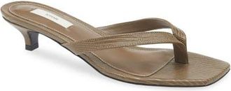 Toteme Lizard Embossed Kitten Heel Flip Flop in Dark Olive at Nordstrom, Size 12Us
