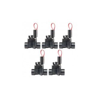 Hunter Elettrovalvola Pgv 101 24v 1 Hunter Con Regolatore Di Flusso Confezione Da 5 Unita Offerta Esclusiva