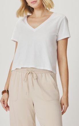 Splendid Louisa V-Neck T-Shirt in White at Nordstrom, Size X-Large