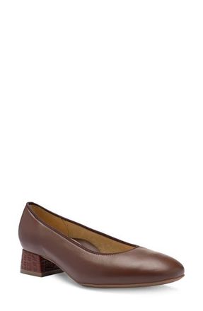 Ara Gypsum Block Heel Pump in Brown at Nordstrom, Size 11.5