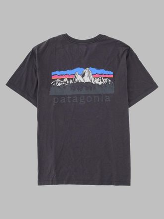 Patagonia Fitz Roy Foothills T-Shirt - Gray