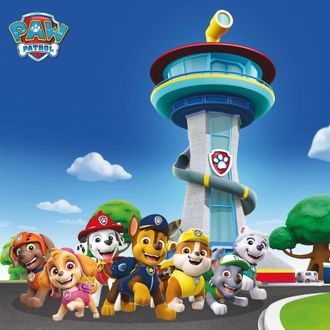 Bönninghoff Leinwandbild »Paw Patrol« Filmfiguren 1 Stk. tlg. BxH: 35x35 cm