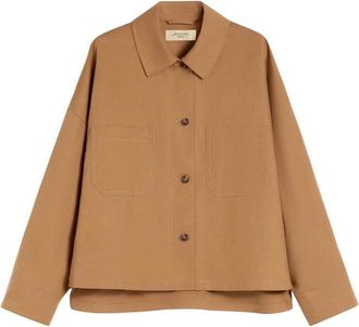Max Mara Brown Dresses