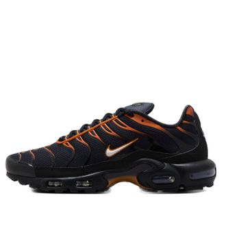 Nike Air Max Plus Dark Obsidian Monarch FN6949-400
