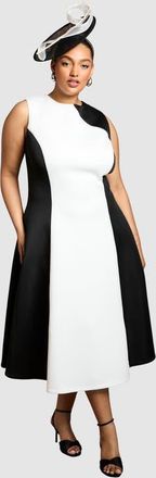 Coast Plus Colour Block Fit Flare Midi Dress in Mono at Nordstrom, Size 14