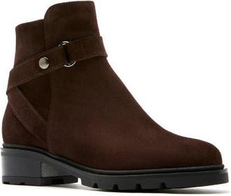La Canadienne Steven City Dry Waterproof Bootie in Brunette Suede at Nordstrom, Size 6.5