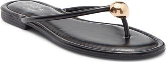 Top Moda Sweden Flip Flop in Black at Nordstrom Rack, Size 5.5