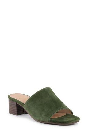 Seychelles Pepper Slide Sandal in Olive at Nordstrom Rack, Size 9.5