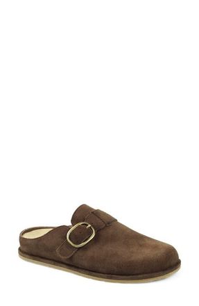 National Comfort Buckle Strap Clog in Taupe Suede at Nordstrom, Size 11Us