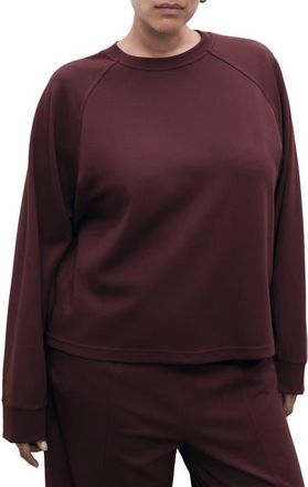 Mango Florida Sweatshirt in Burgundy at Nordstrom, Size X-Small