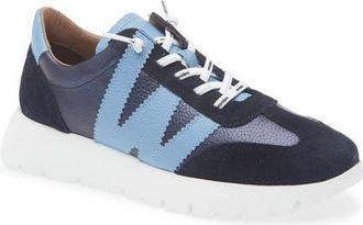 Wonders Fashion Slip-On Sneaker in Noche/Bluet at Nordstrom, Size 9.5-10Us