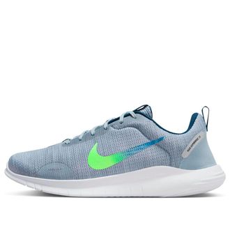 Nike Flex Experience Run 12 Blue DV0744-400