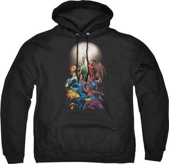 Gildan Green Lantern Gl New Guardians 1 Adult Pull Over Hoodie / Hooded Sweatshirt
