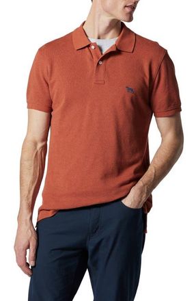 Rodd & Gunn Gunn Piqué Sports Fit Cotton Polo in Terracotta at Nordstrom, Size Xx-Large