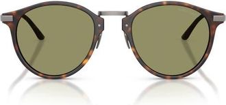 Armani 51mm Round Sunglasses in Matte Havana /Green at Nordstrom