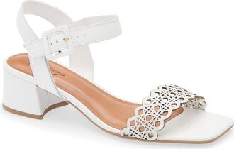 Bottero Catia Ankle Strap Sandal in Branco at Nordstrom, Size 11