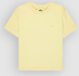 Quiksilver Essential T-Shirt gr&uuml;n