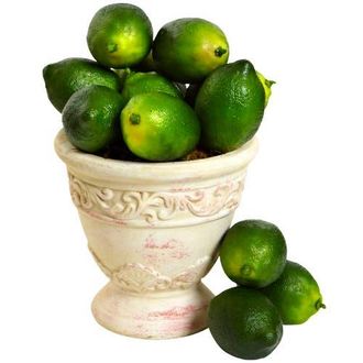Nearly Natural Faux Limes in Green at Nordstrom
