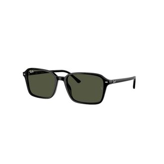 Ray-Ban Raimond Sunglasses