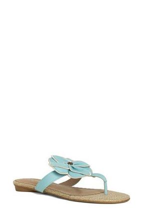 Shushop Brylee Sandal in Aqua at Nordstrom Rack, Size 7.5