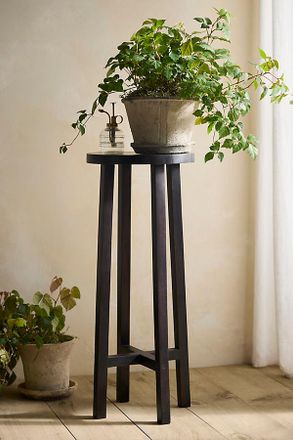 Terrain Black Acacia Wood Plant Stand
