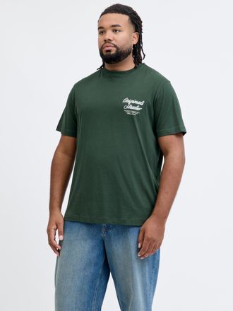 Jack & Jones Plus Size Kurzarmshirt JORNORREBRO TYPO TEE SS CREW NECK PLS, Herren, Gr. 4XL, sycamore, Jersey, Obermaterial: 100% Baumwolle, JACK & JONES PLUSSIZE, bedruckt, 
