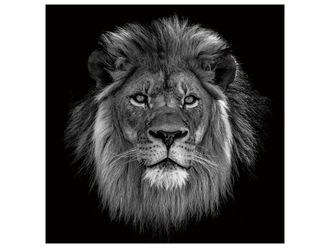 Schubiger M&ouml;bel Digitaldruck auf Glas K&ouml;nig Der L&ouml;wen in S/w