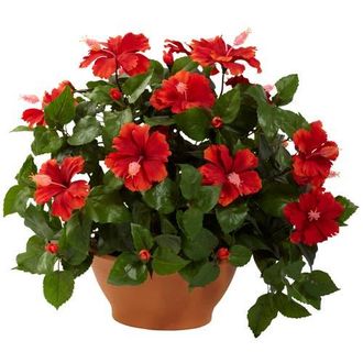 Nearly Natural Hibiscus with Clay Planter in Green/red at Nordstrom