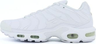 Nike Air Max Plus TN Triple White AJ2029-100