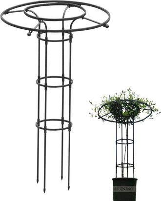 OEM Tuteur Pour Plantes Grimpantes - Treillis Parapluie En Acier - 120 Cm - Pour Rosiers Cl&eacute;matites Jasmin - 1 Pi&egrave;ce