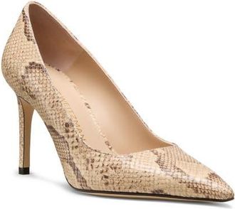 Stuart Weitzman Stuart Power 85 Snakeskin Embossed Pointed Toe Pump in Adobe at Nordstrom, Size 6.5