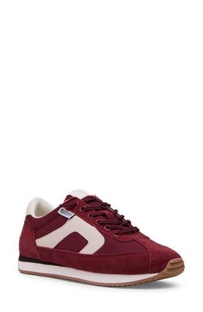 Blondo Emara Waterproof Sneaker in Burgundy Suede at Nordstrom, Size 6.5