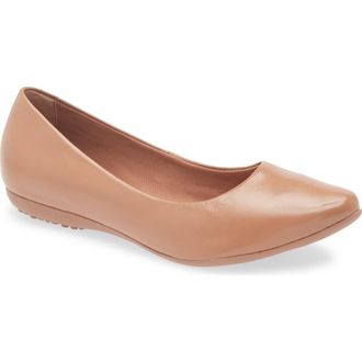 Bottero Botdogs Ballet Flat in Mocha Mousse at Nordstrom, Size 11
