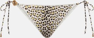 Roberto Cavalli Printed bikini bottoms
